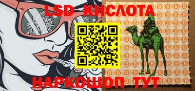спайс Моздок