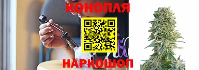 спайс Моздок