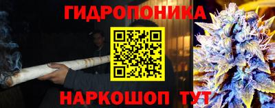 ешки Можга