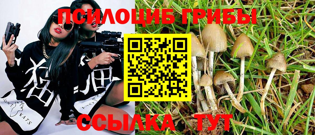 Галлюциногенные грибы ЛСД  Вход с VPN  Долгопрудный  Галлюциногенные грибы Cubensis 